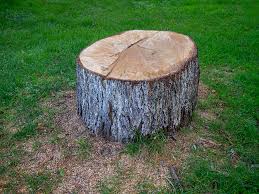  Sturgeon, PA Tree Services Pros