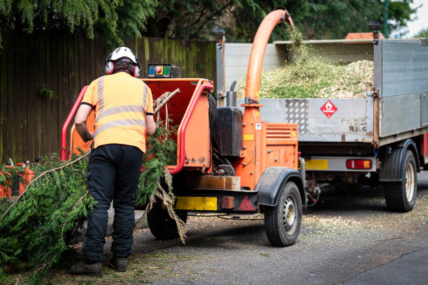  Sturgeon, PA Tree Services Pros